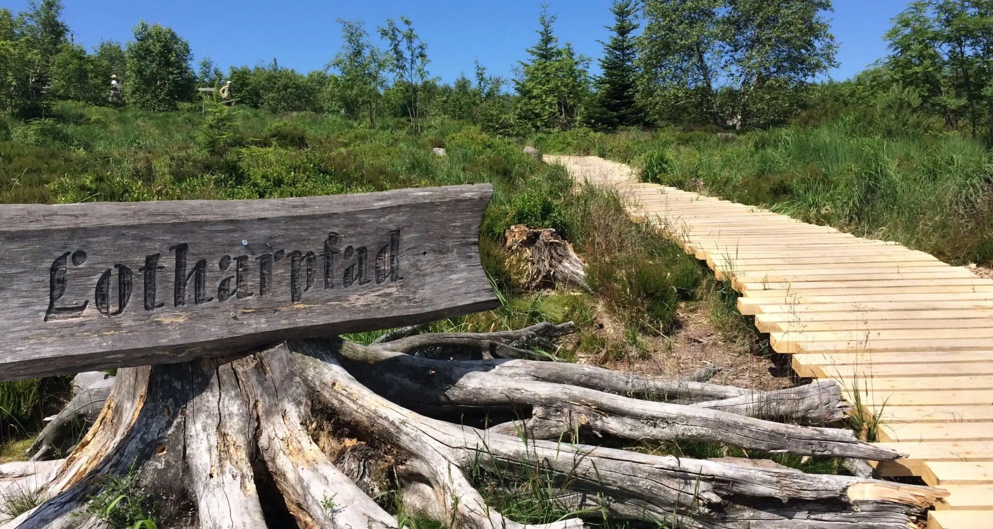 Wellness- & Nationalpark Hotel Schliffkopf Bwsc