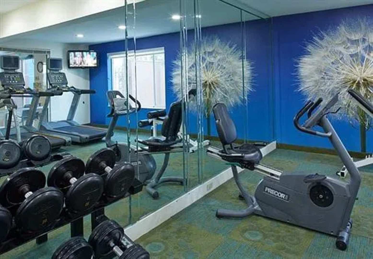 Springhill Suites Atlanta Six Flags