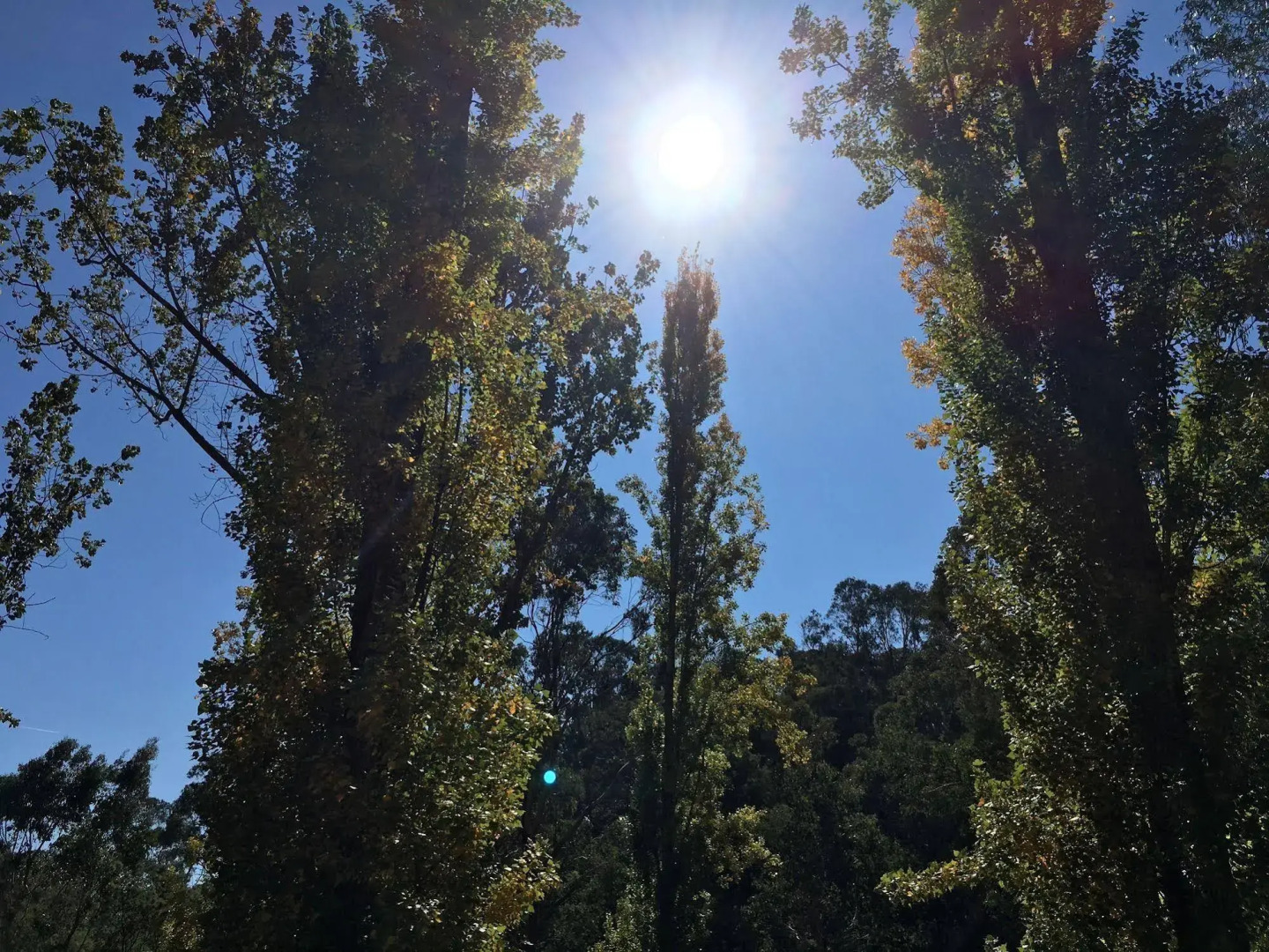 Beechworth Holiday Park