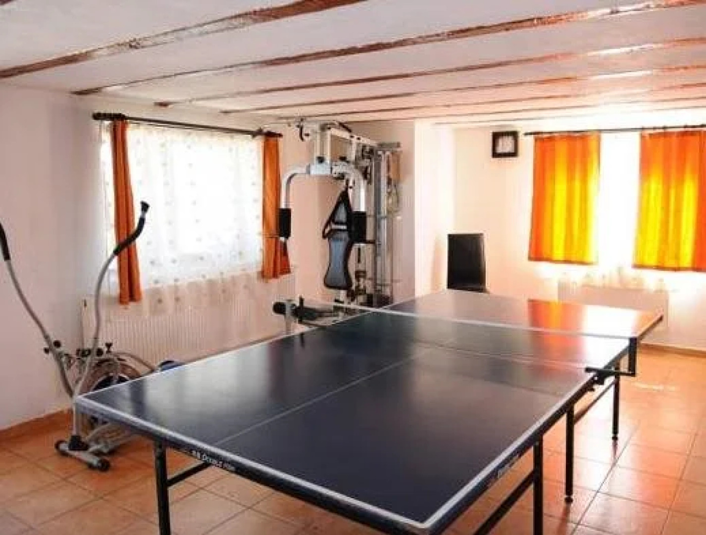 Vila Stefana Paltinis