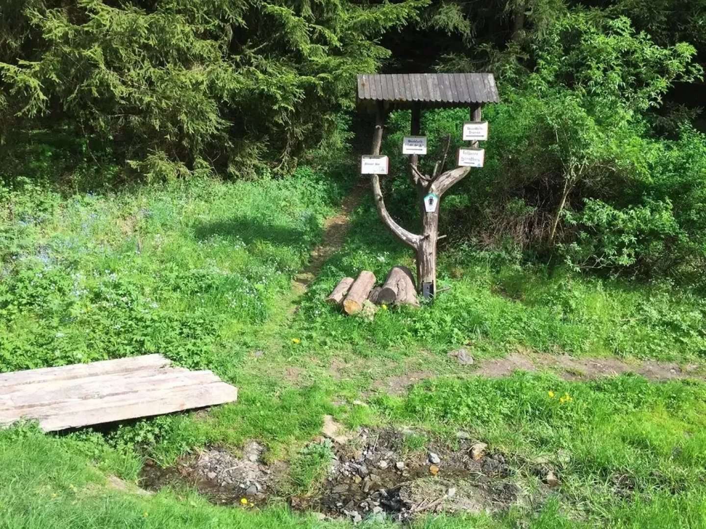 Holiday Home Directly Along the Edge of the Forest, Sauna and Modern Furnishings