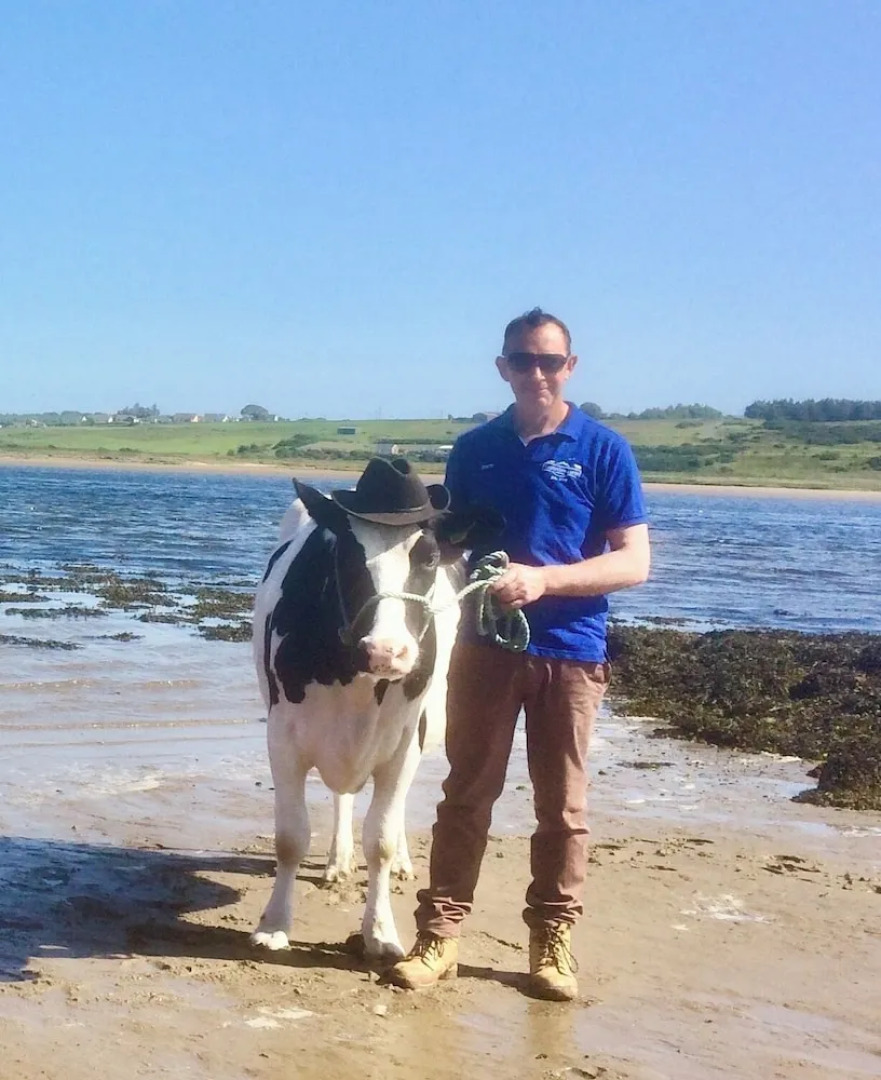 The Cuddly Cow Cosy Barn Studio Campview Farm Stay