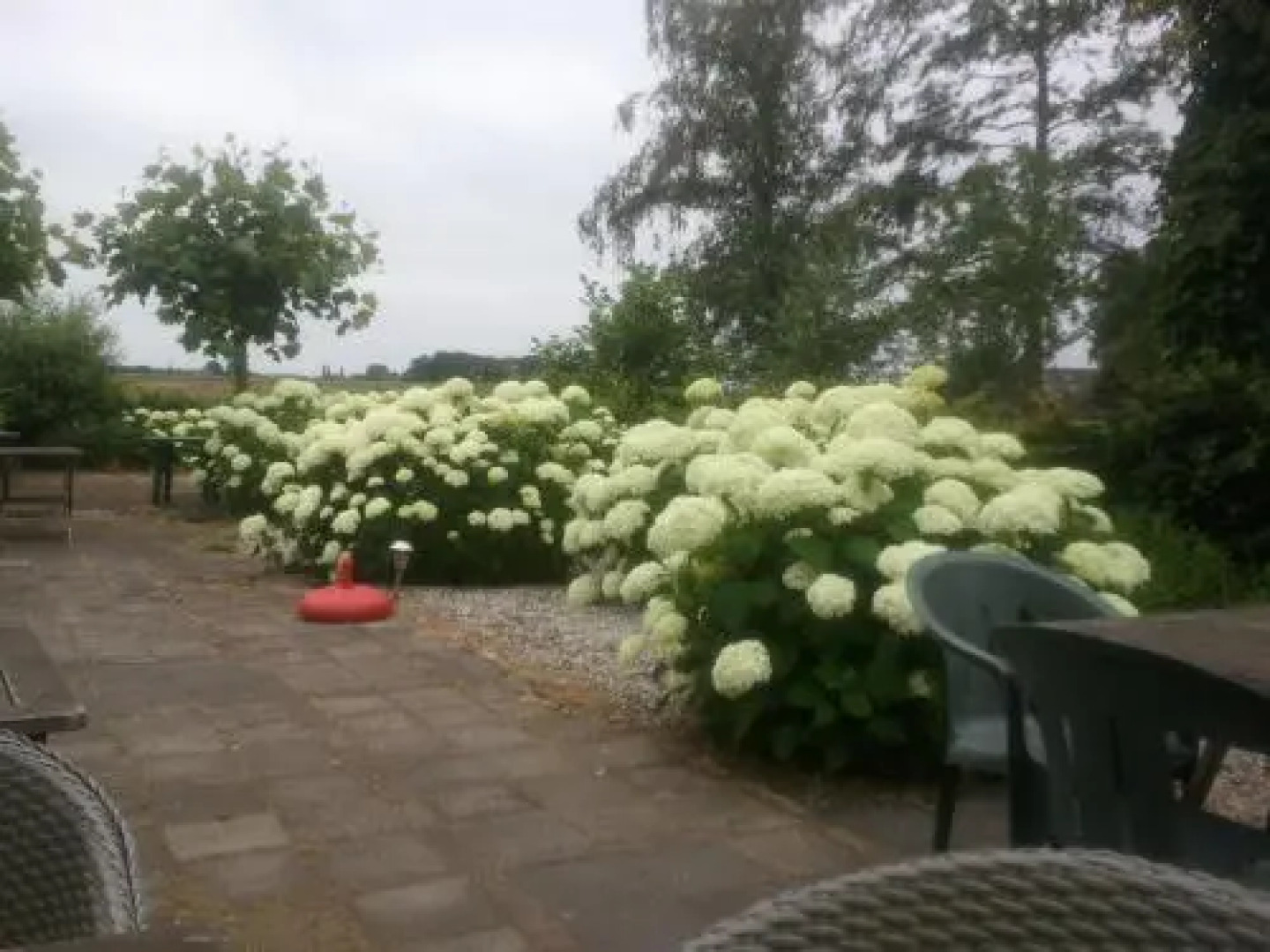 t Wapen van Middelie