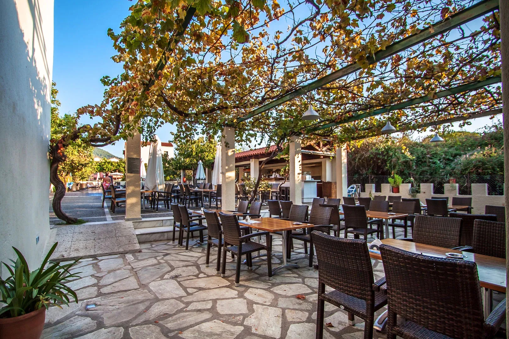 Rigas Hotel Skopelos