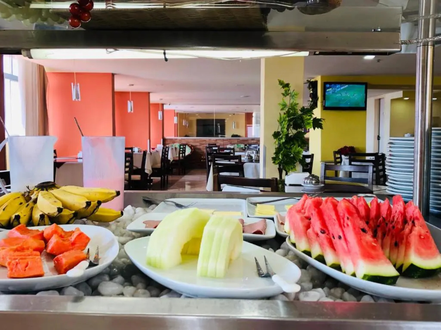 Rede Andrade Plaza Recife