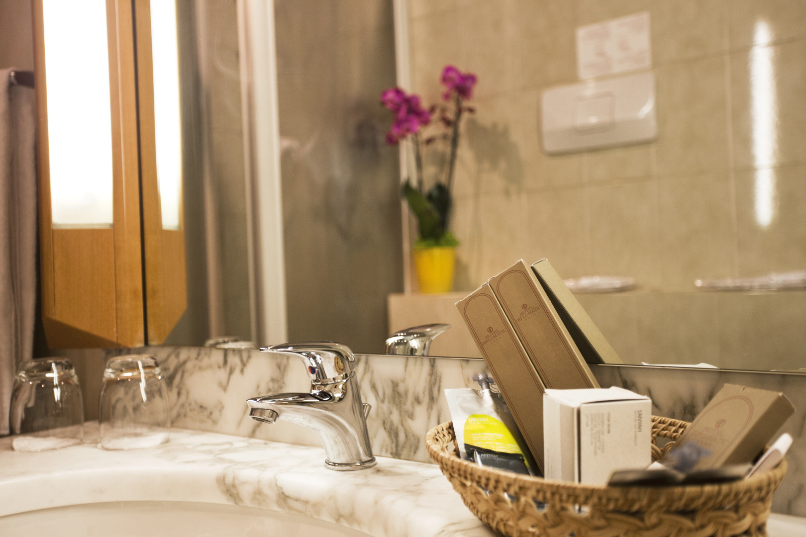 Отель Diplomatic