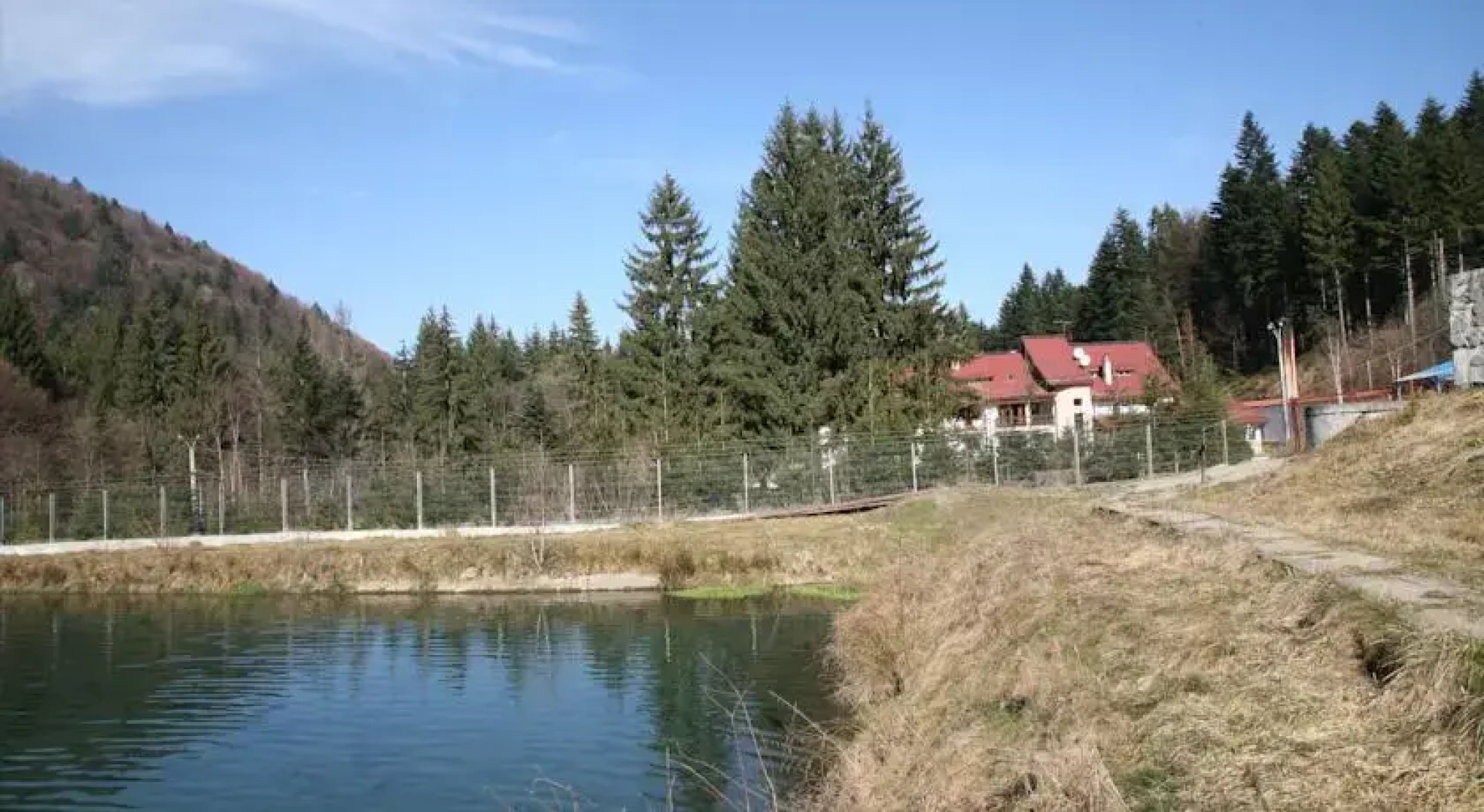 Pension Floarea Reginei