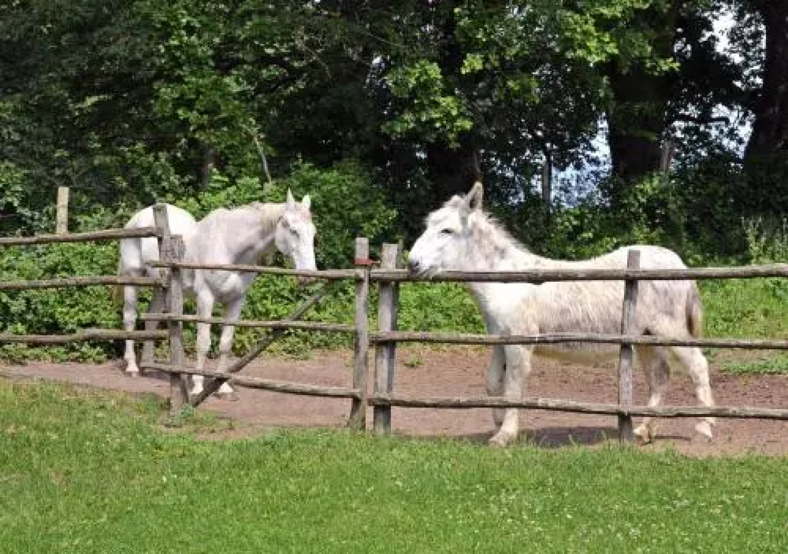 Casal Ponziani per Civita e Dintorni