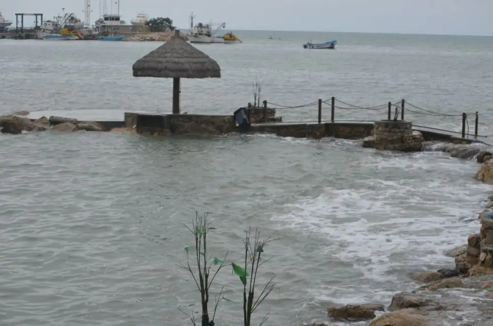 Departamento de Lujo Torre Marina Salinas