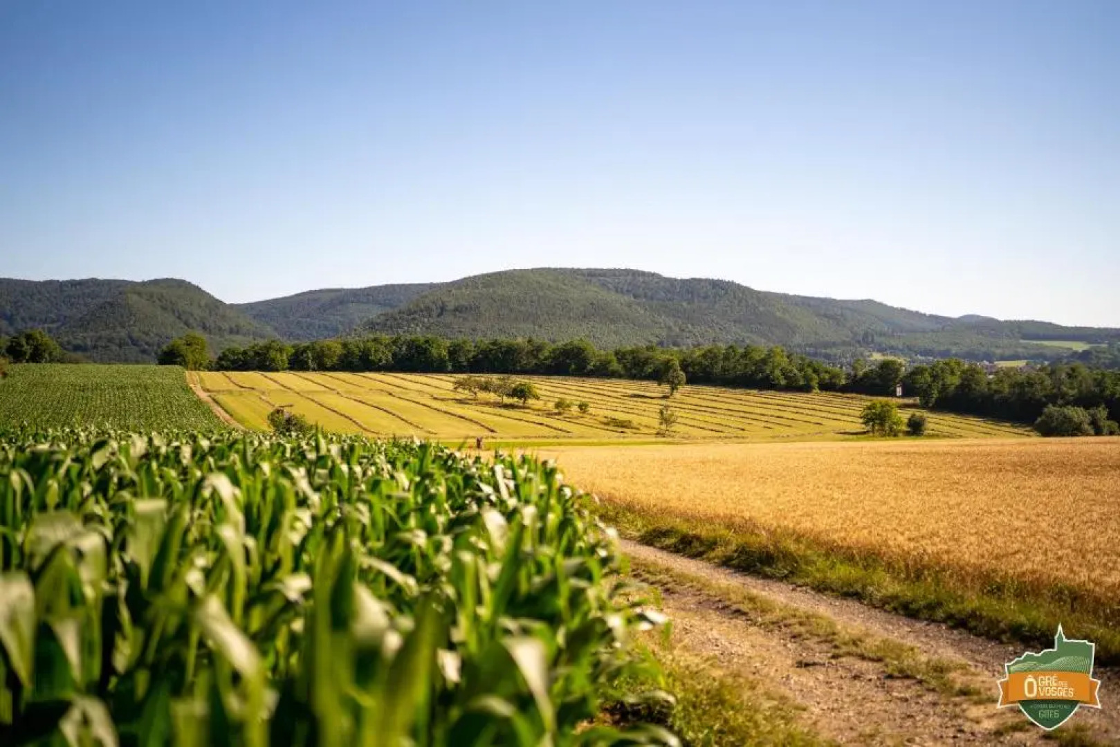Gîte Ô Gré des Vosges