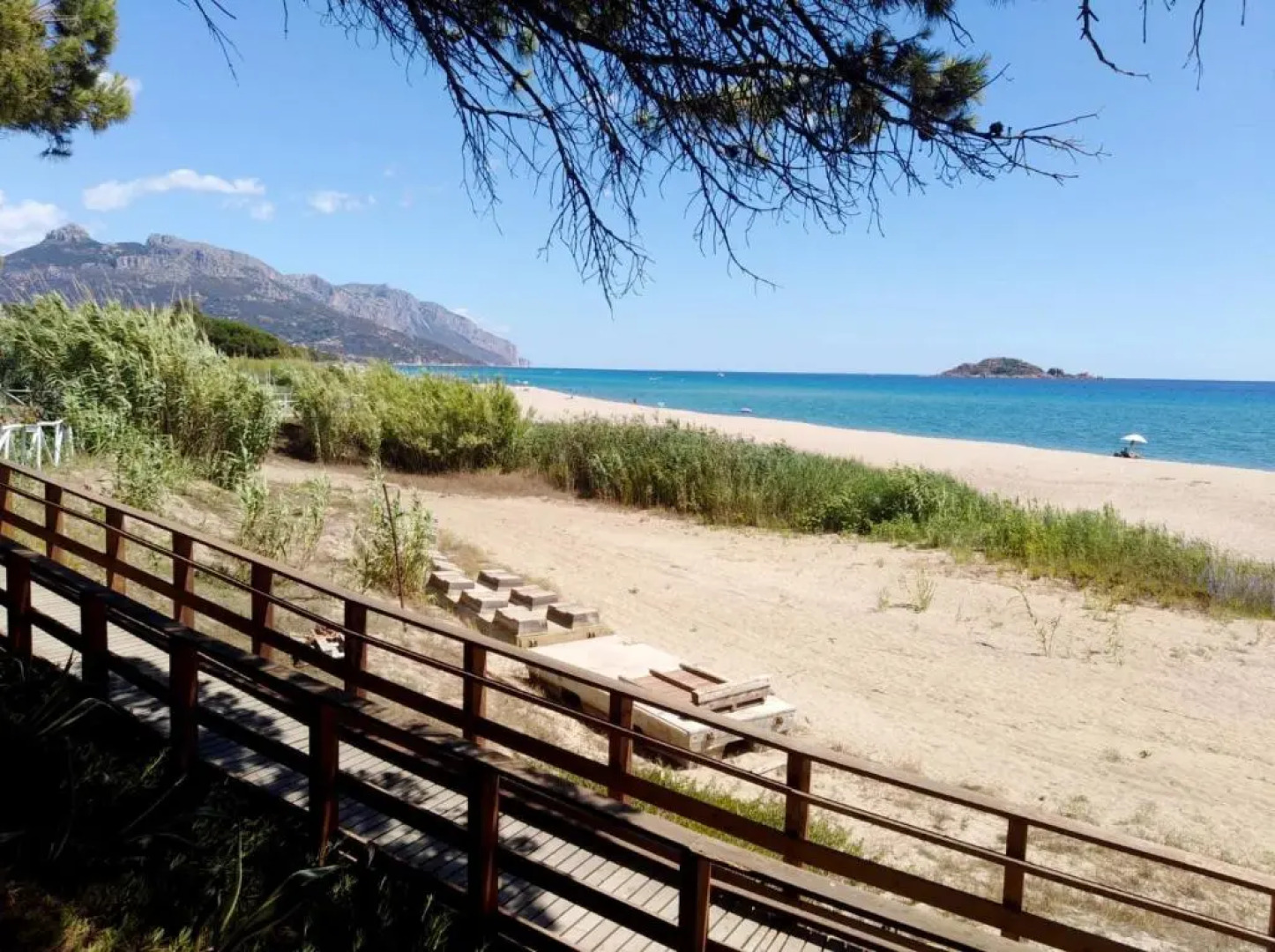 Blu Marlin - IUN Q4073