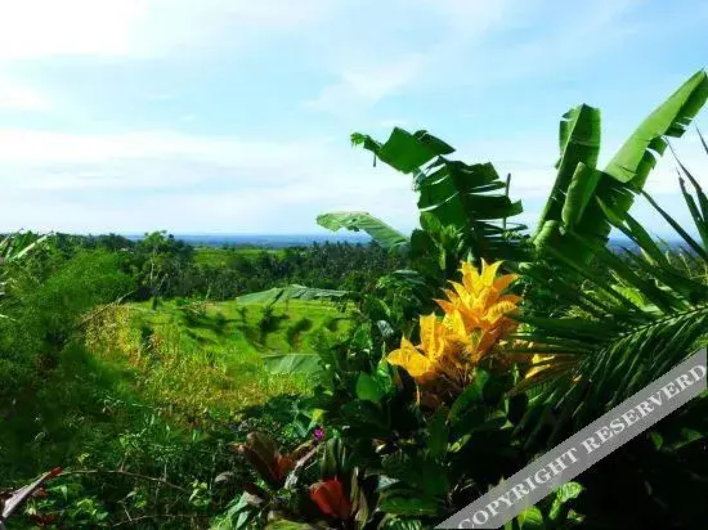 West Bali Villas-Umasari Resort