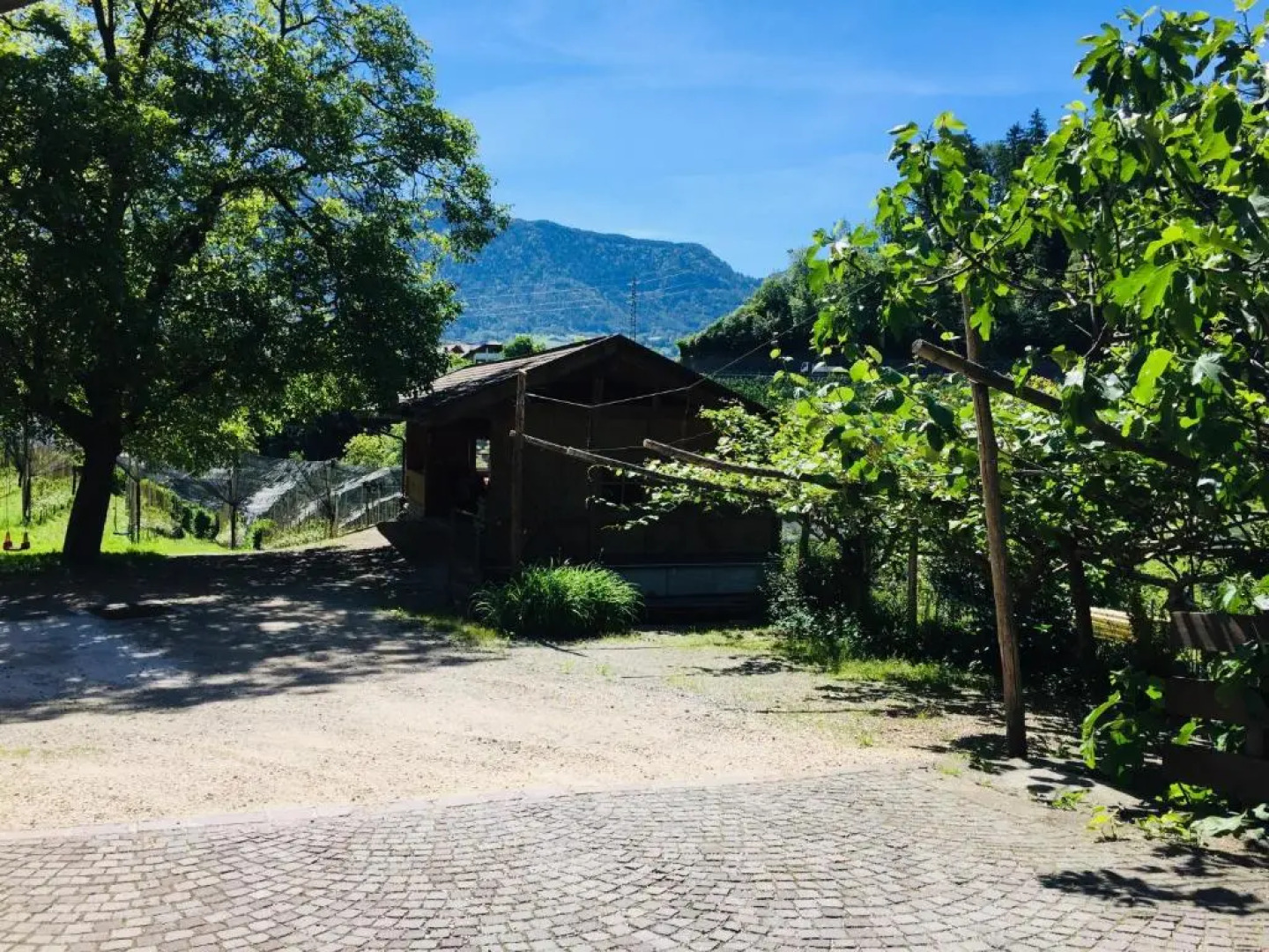 Tannerhof Bed & Breakfast