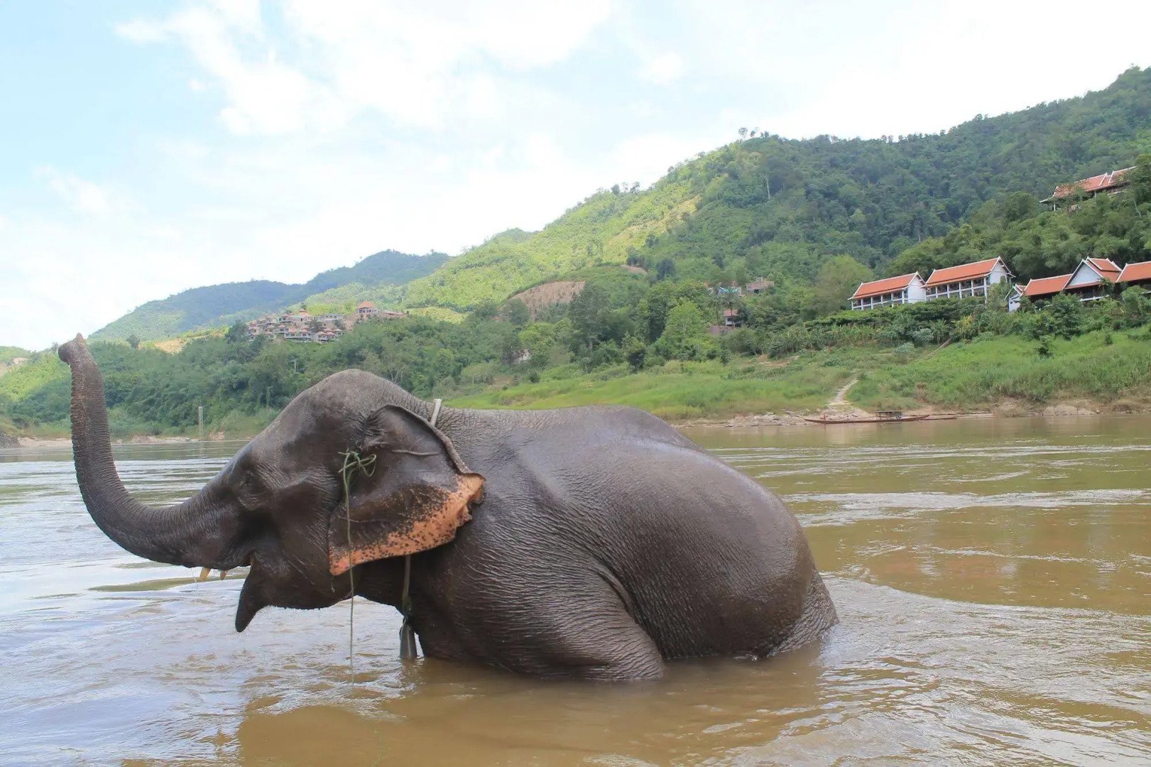 Sanctuary Pakbeng Lodge
