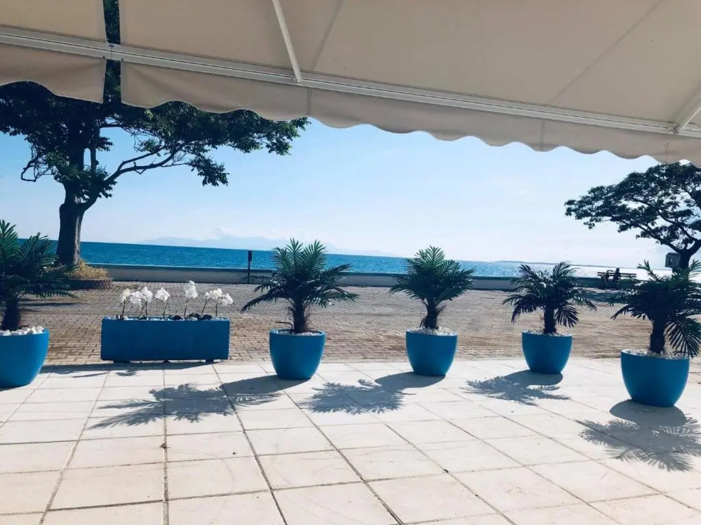 Angela Apartments & Studio