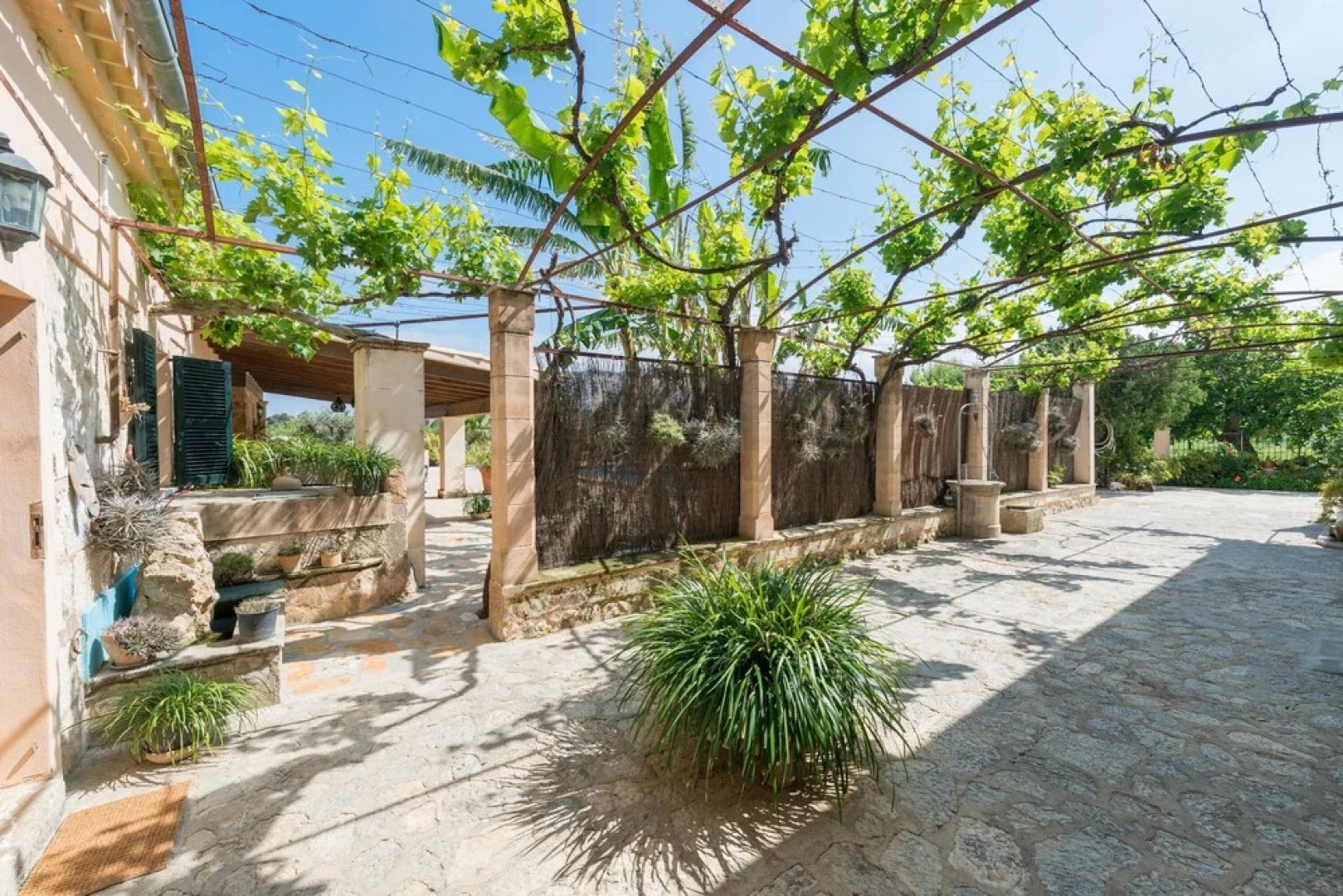 SA Parellada - Premium