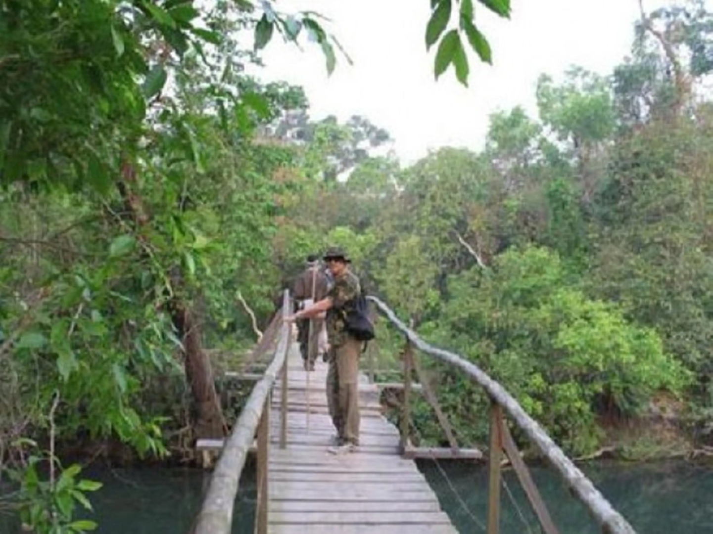Racyshade Resort- Bardia National Park