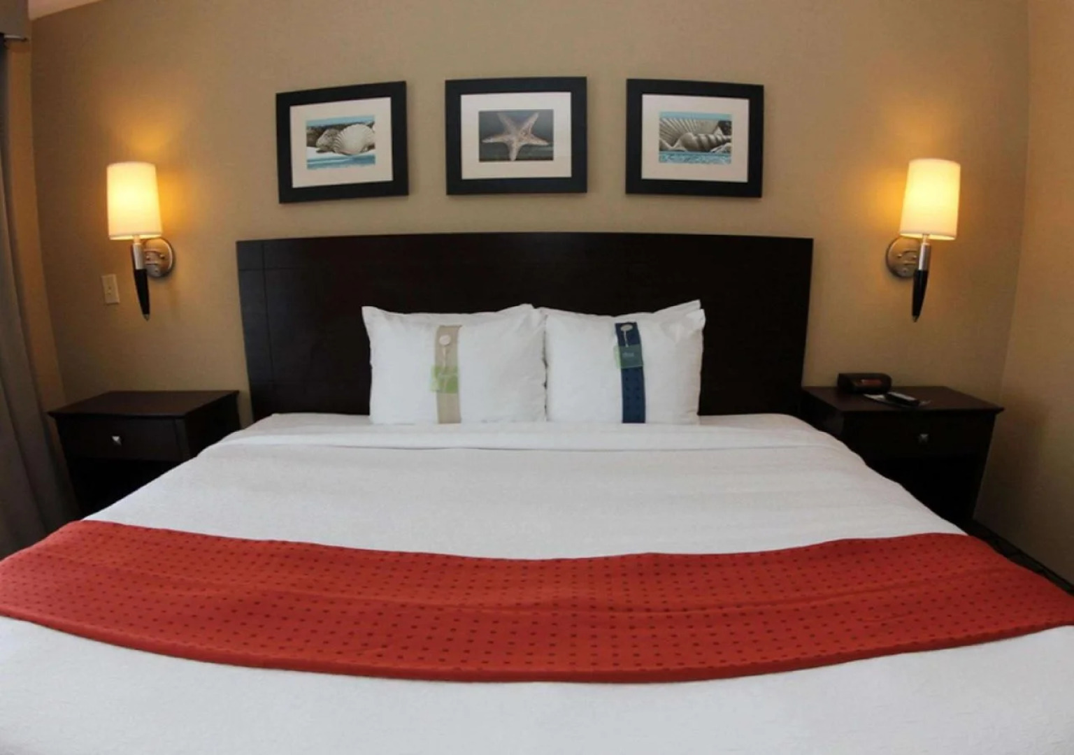 The Volare, an Ascend Collection Hotel