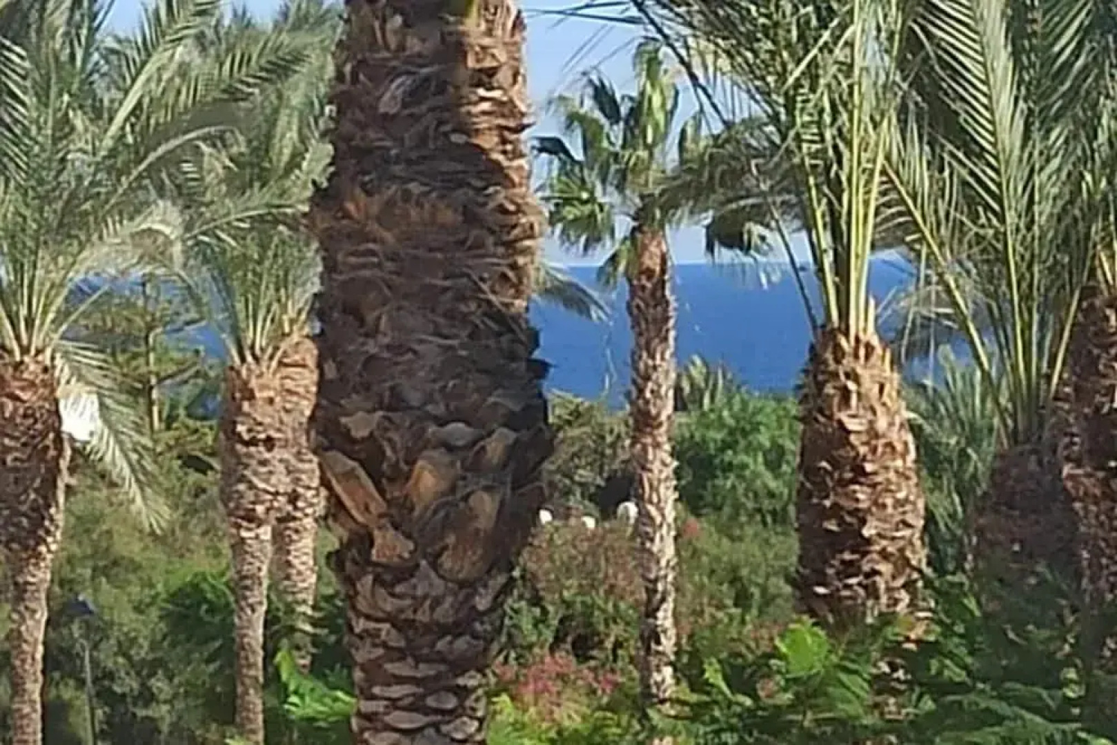 2 Bed Apt - Close To Beach - Pool - Balcony