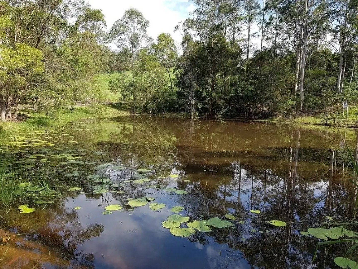 Barrington Tops Nest