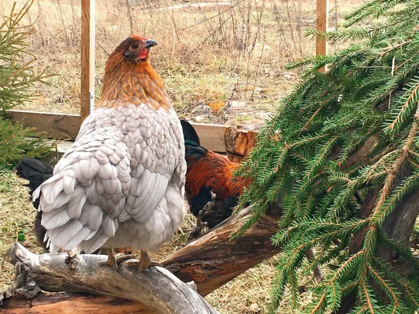 5 Person Holiday Home in Mellosa