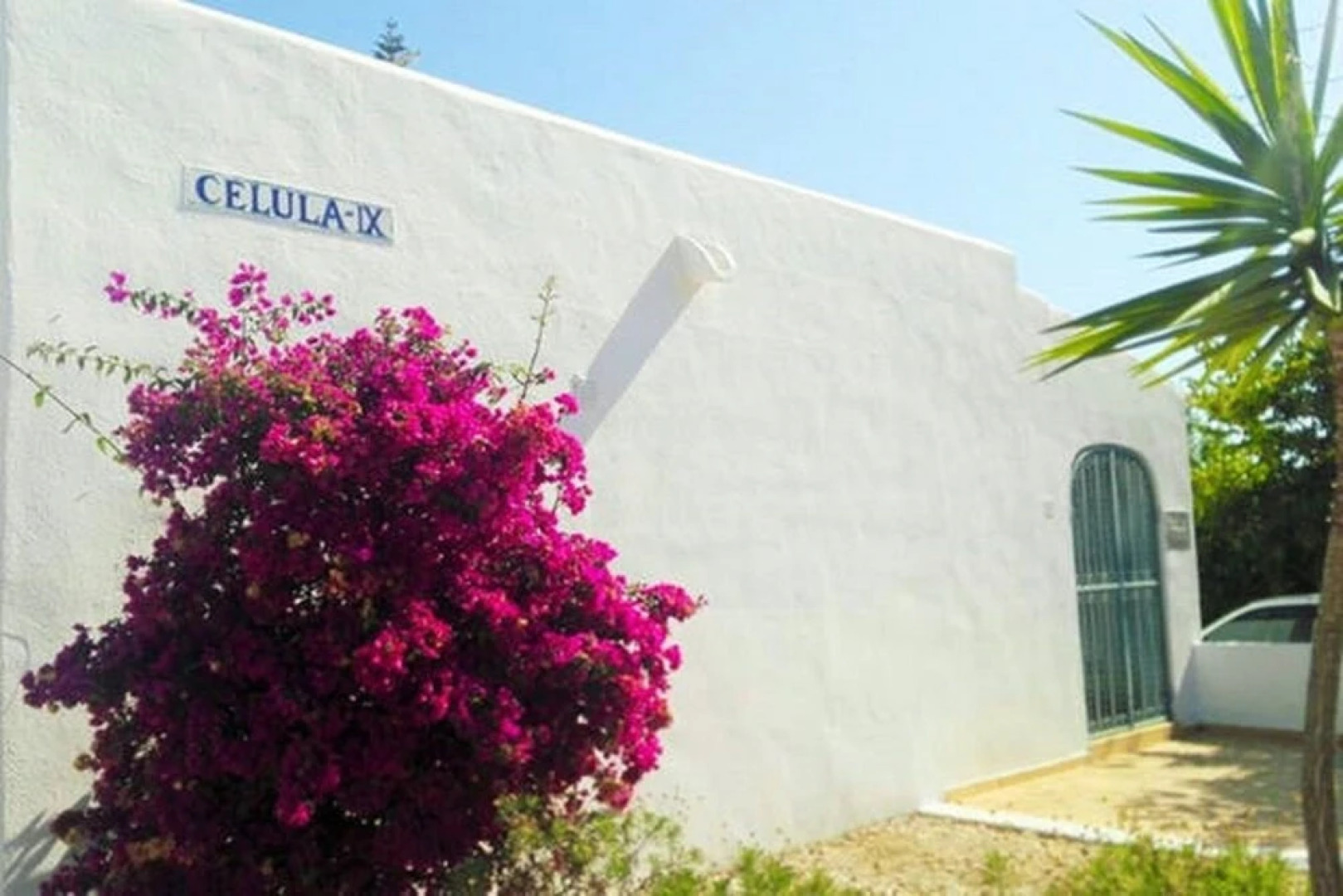 Algarseco By GalanteVasques