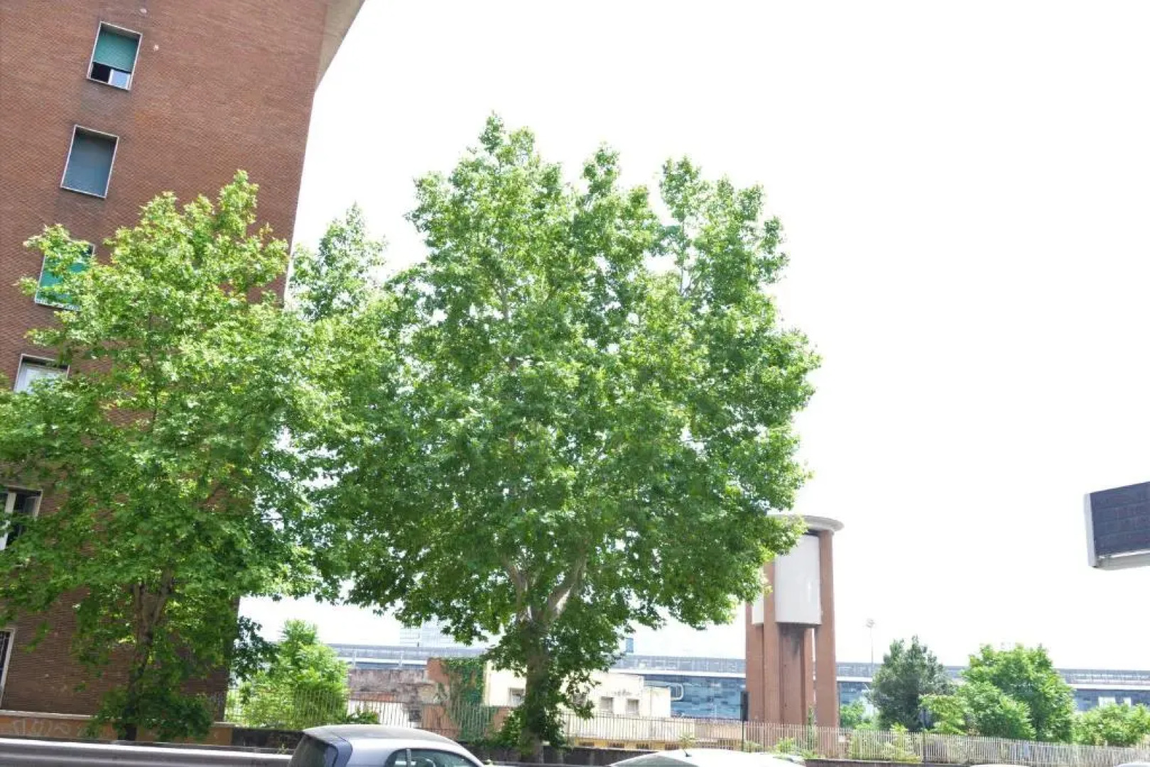 Affittacamere A Casa Mia