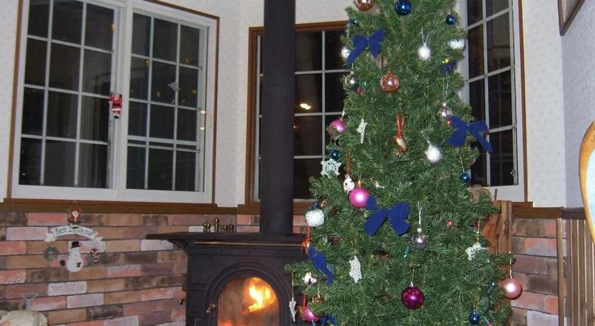 Natural House Pure 21