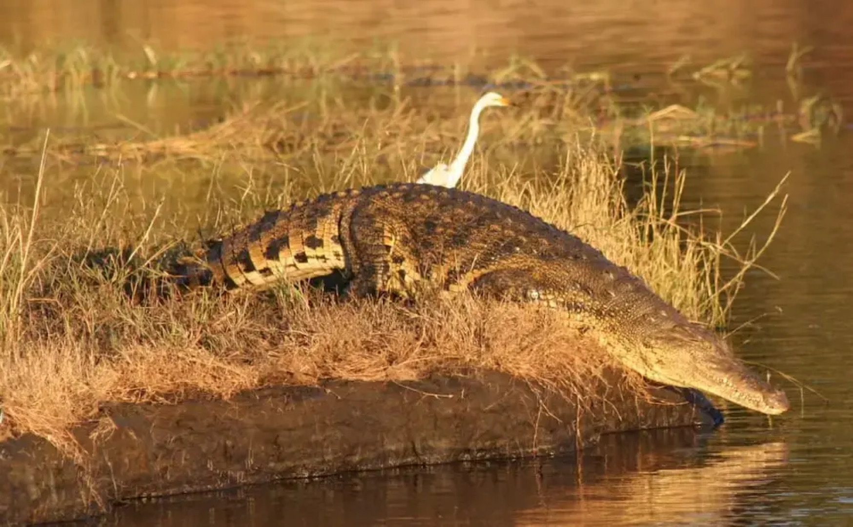 Sandpiper Villas Chobe