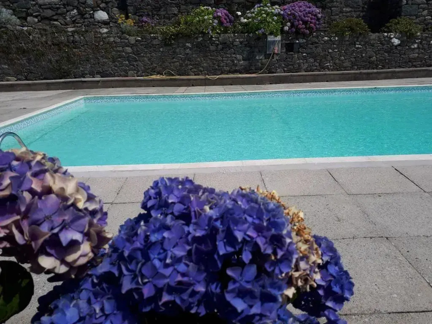 C9 - Seaview Gem - Hendre Coed Isaf