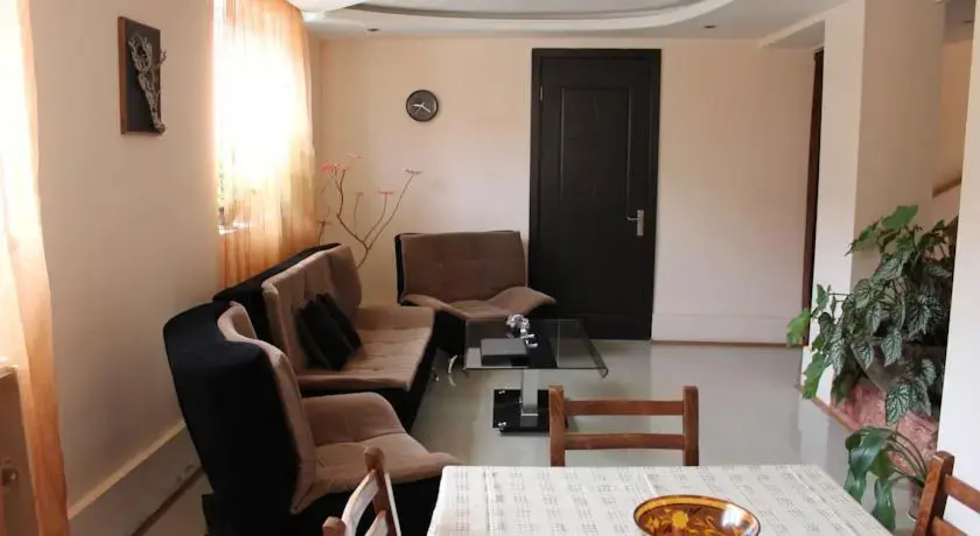 Caucasus Hostel