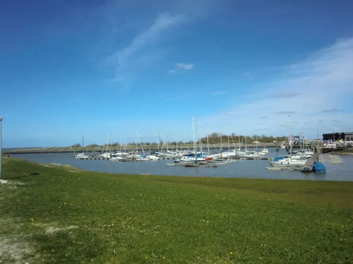 Friesengold Modern Retreat