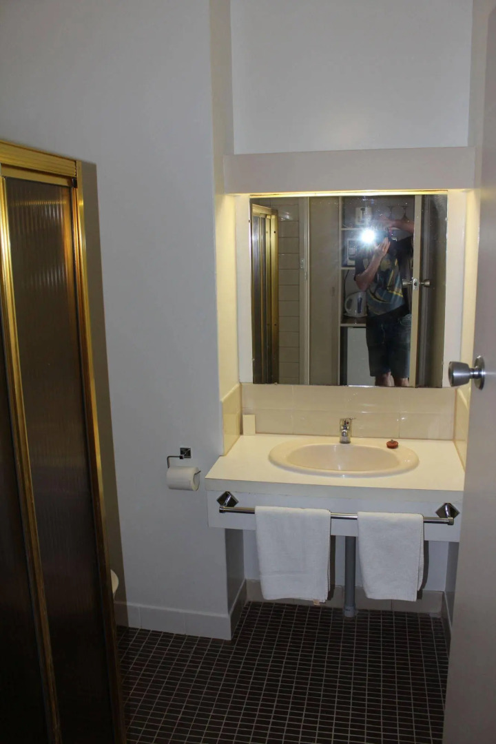 Sandpipers at Millicent