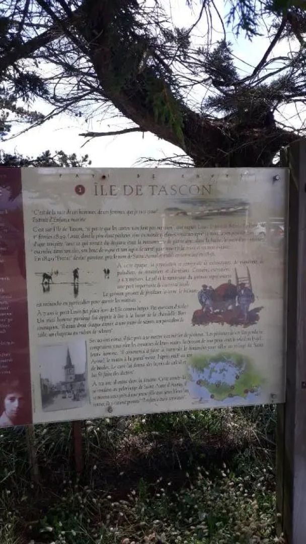 Auprès de mon arbre