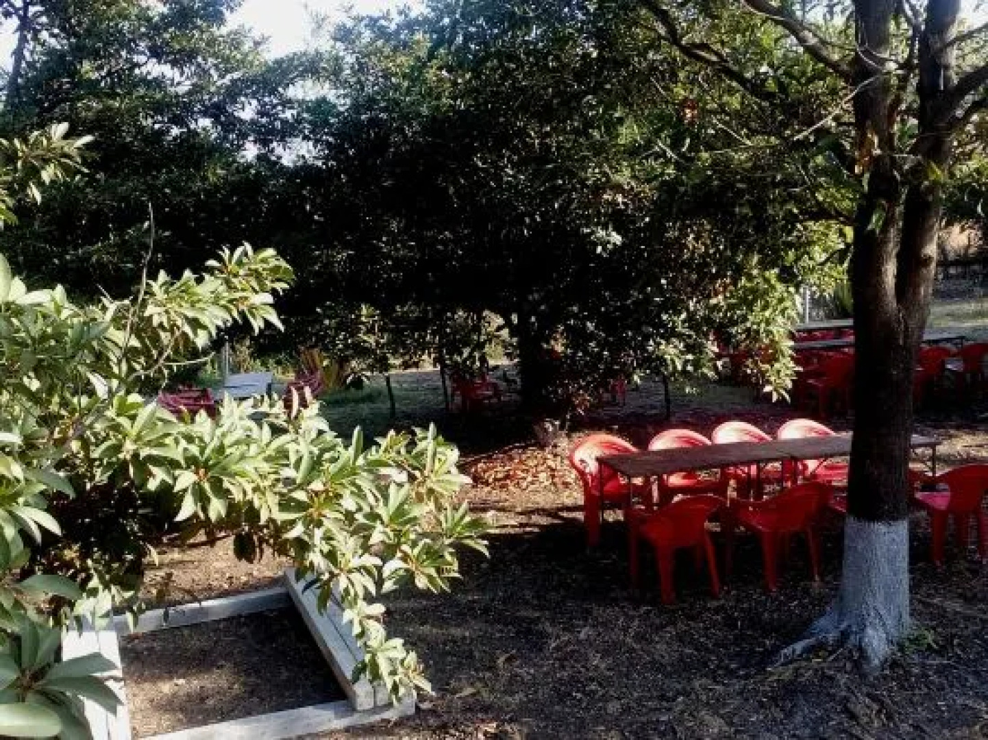 Ecowoods Agrotourism