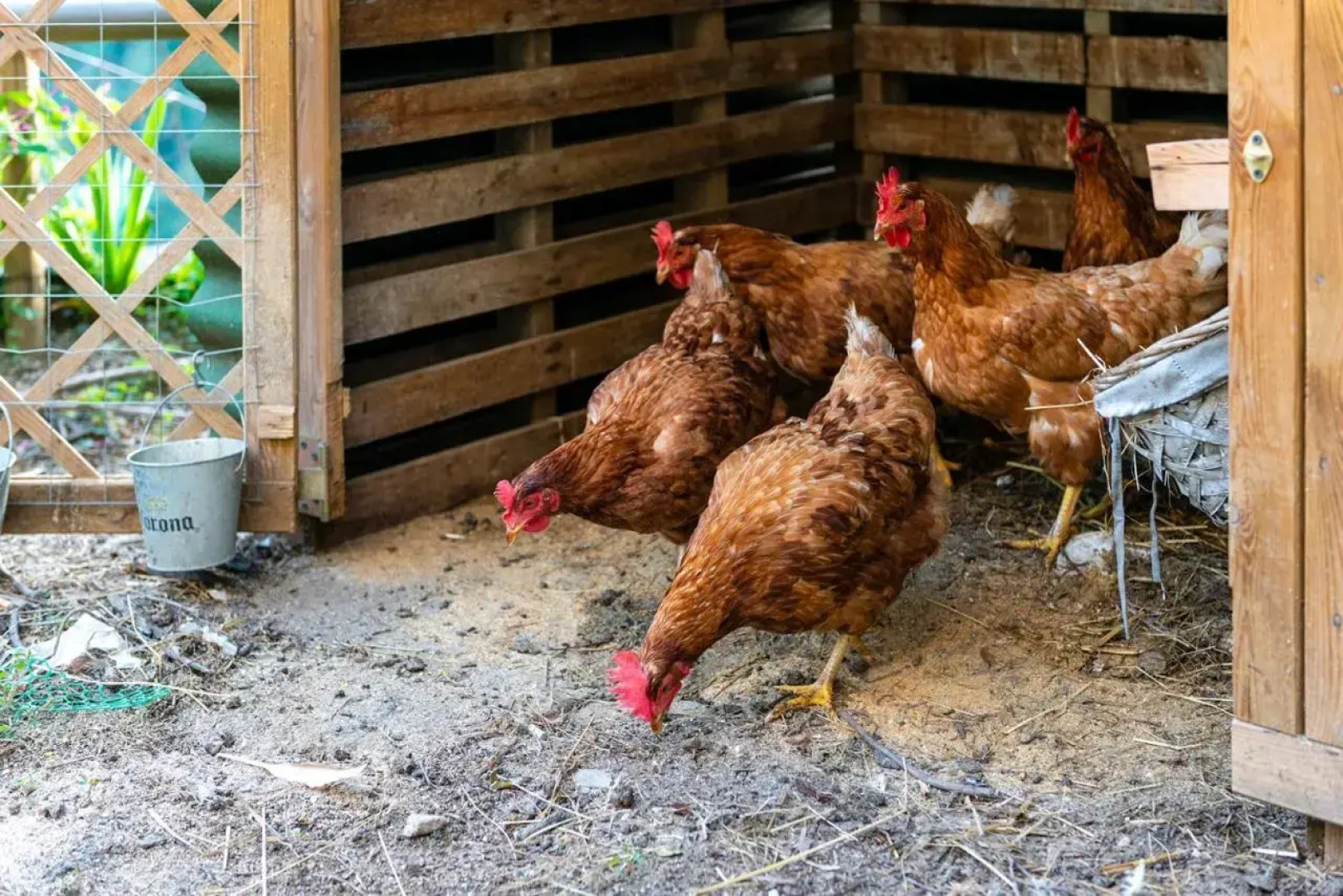 Re Dream Suite a Tema - Rapallo