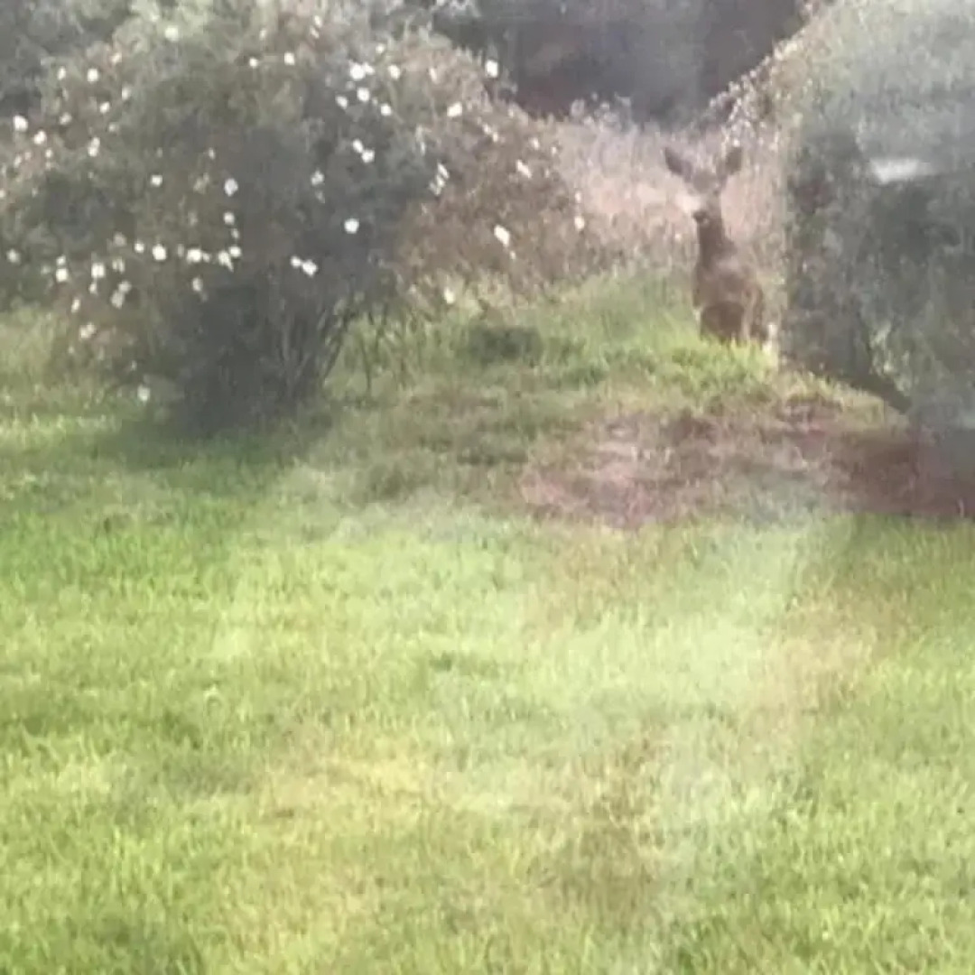 Home Comforts in Peaceful 2 Acres