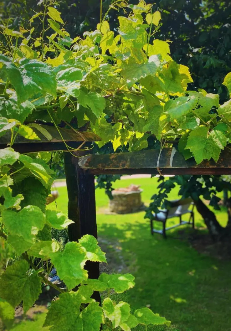 Hotel Rural La Llosa De Samano