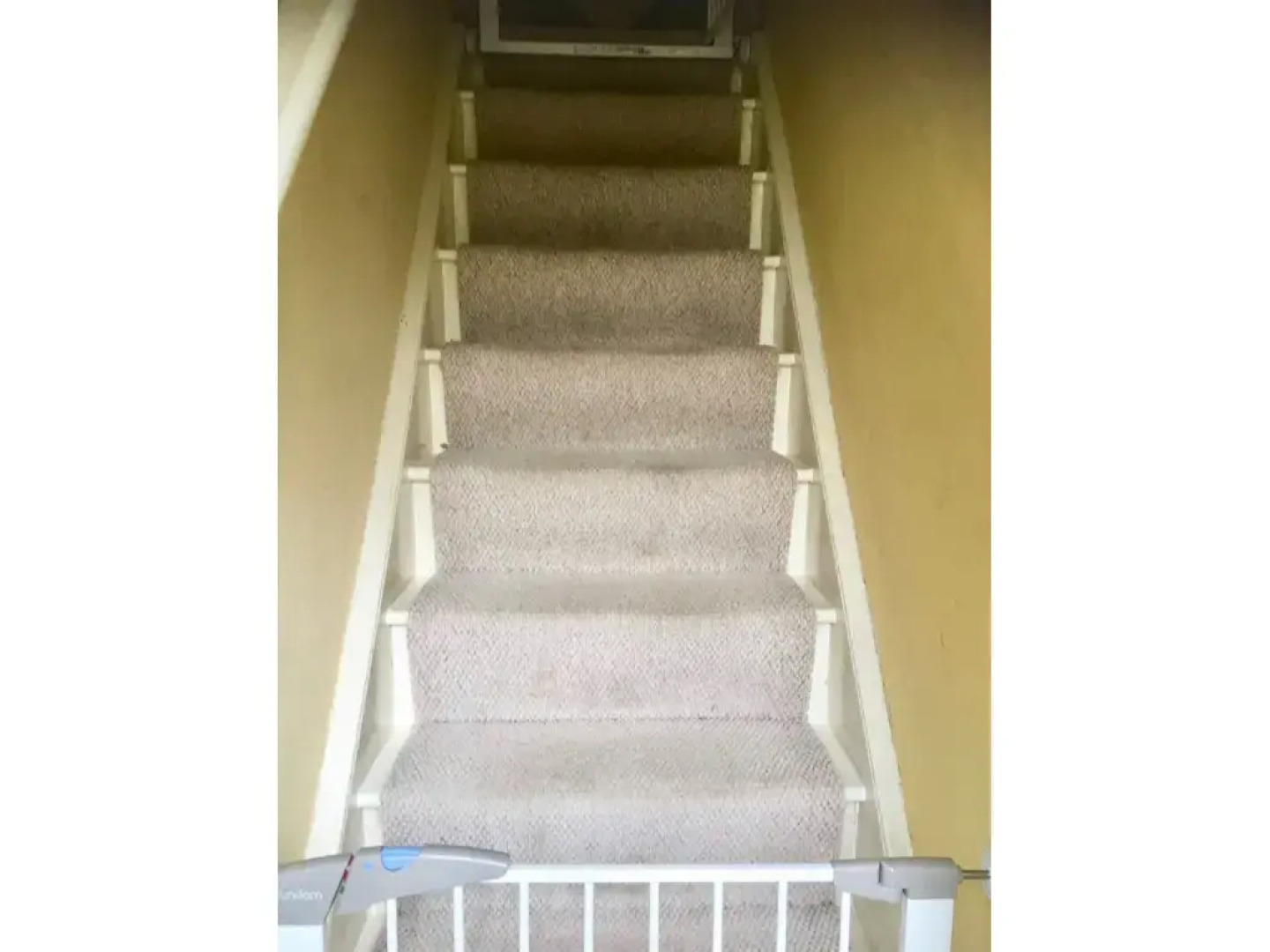 2 Old Park Cottages - St Lawrence