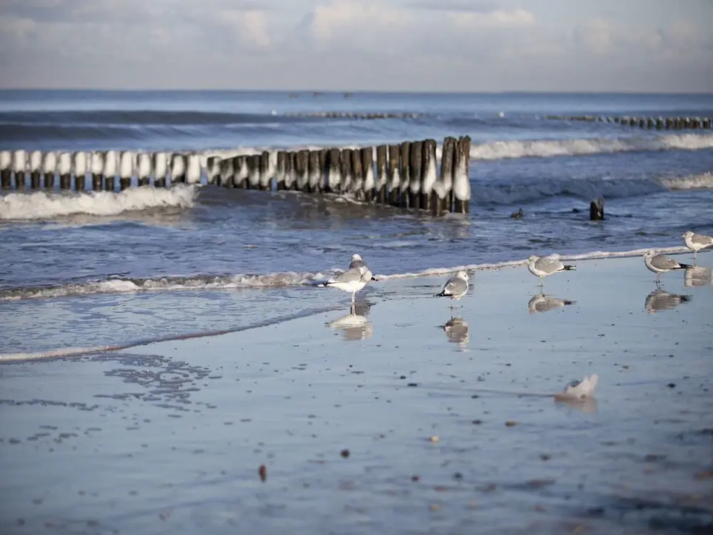 Detached holiday cottages located 200 m from the sea in a seaside village