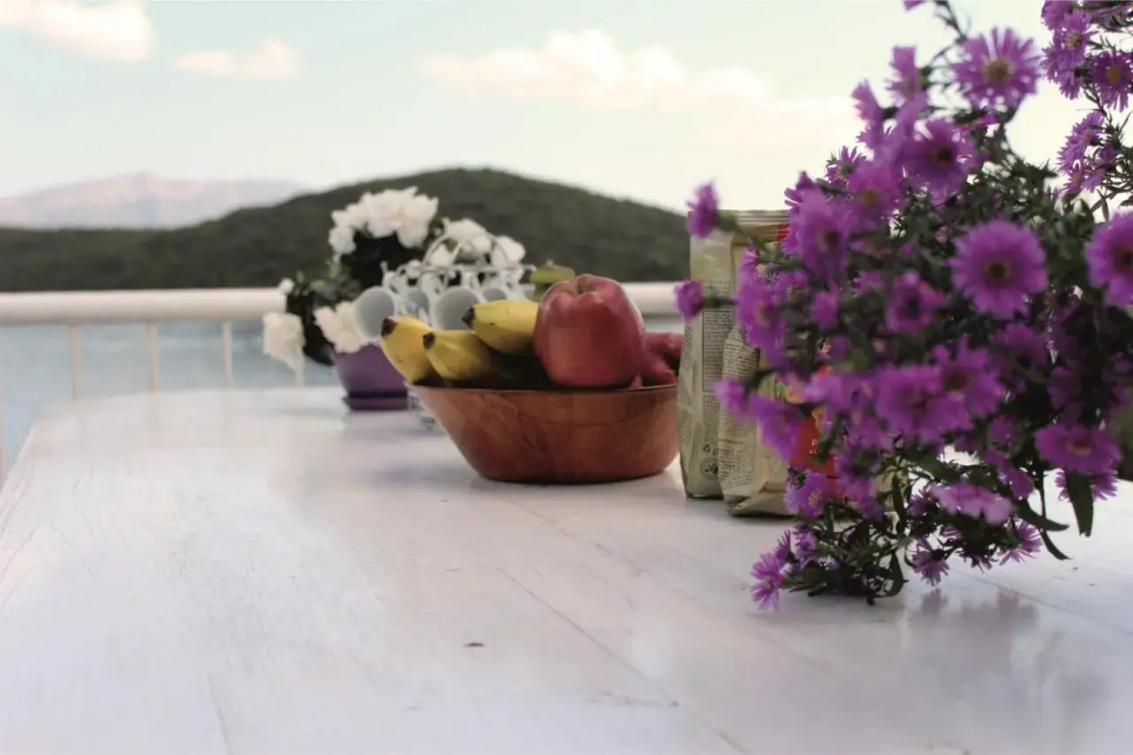 Large Terrace Apartment