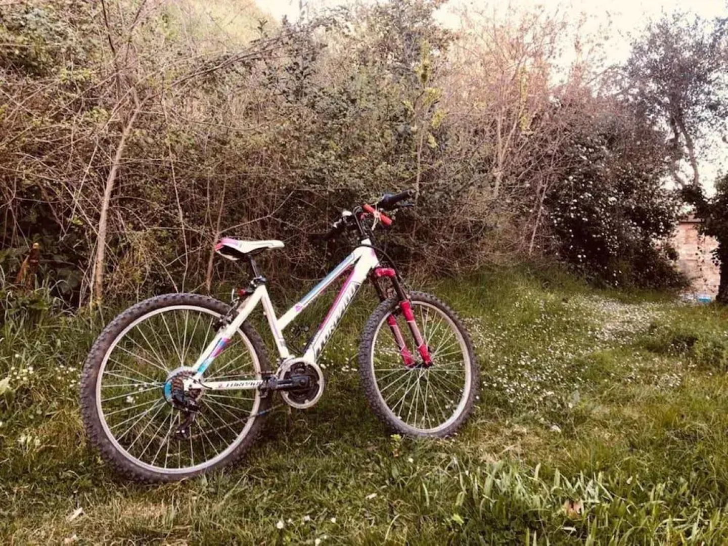 Casanova - Panoramic Rooms and Suites