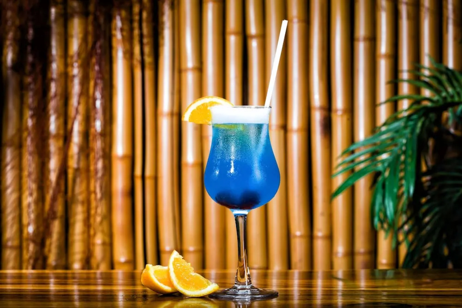 Hotel - Motel Coconut