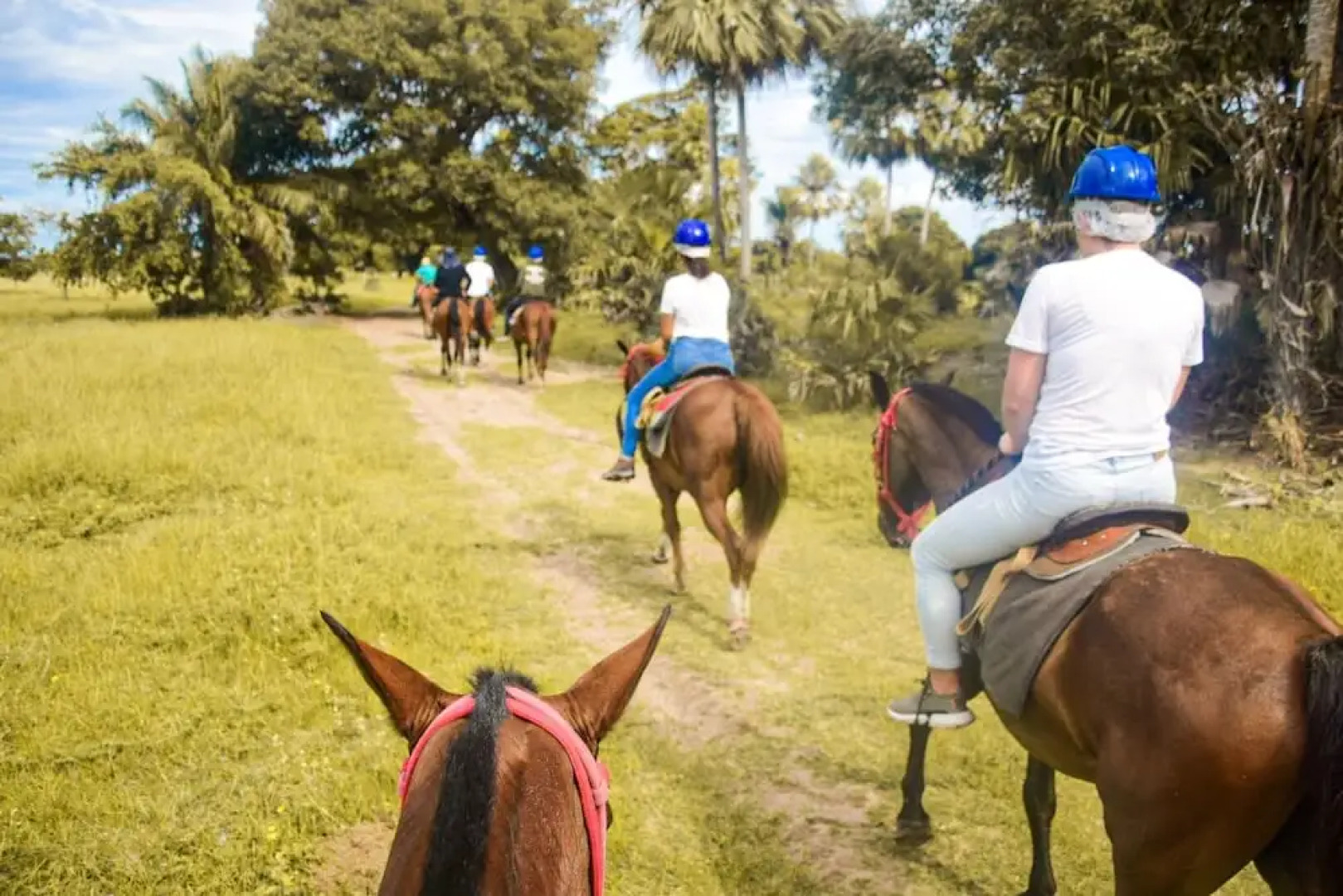 Pousada São João - Estrada Parque Pantanal