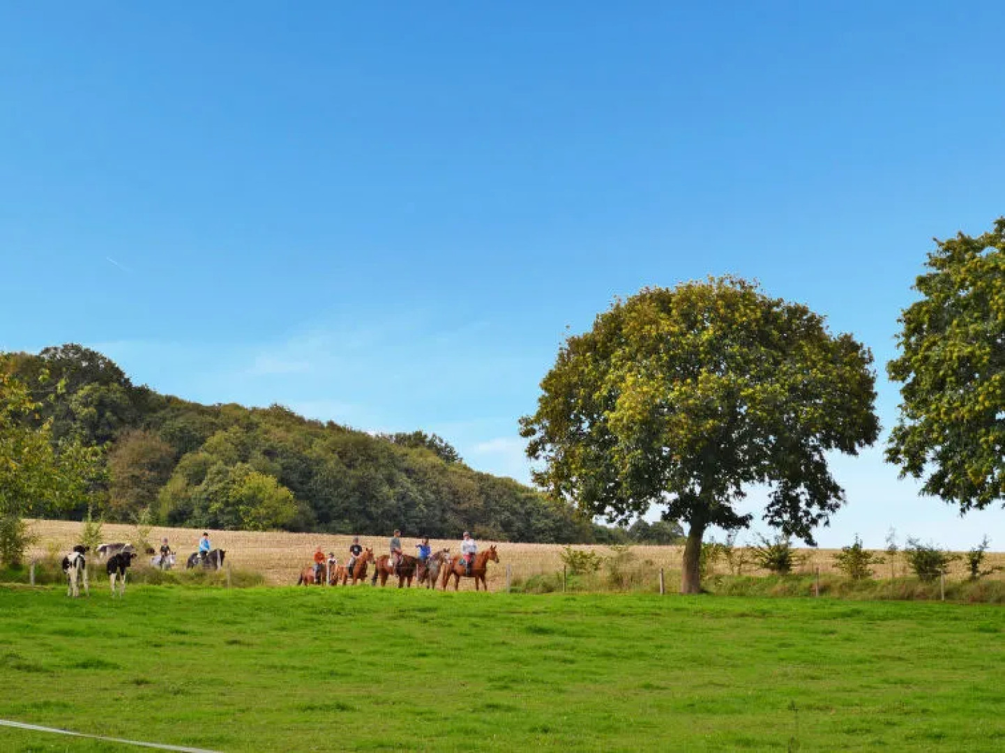 Le Pressoir (CHD400)