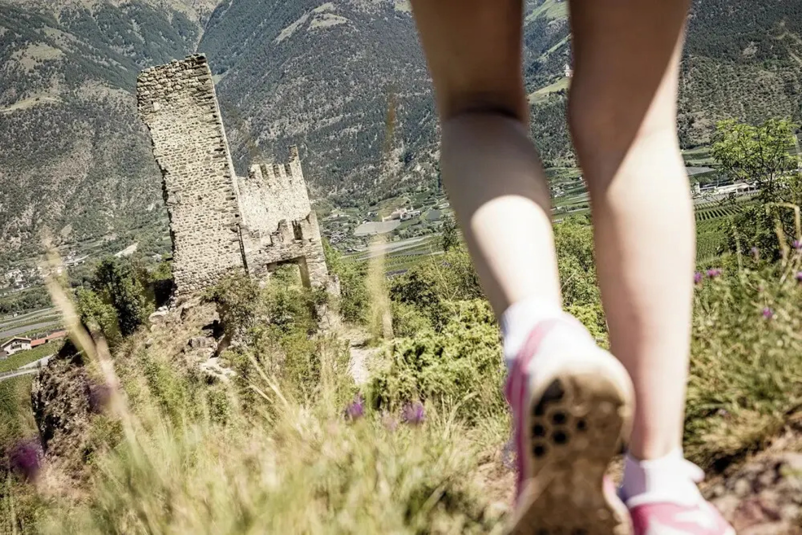 Amolaris Garden Loges & Guesthouse