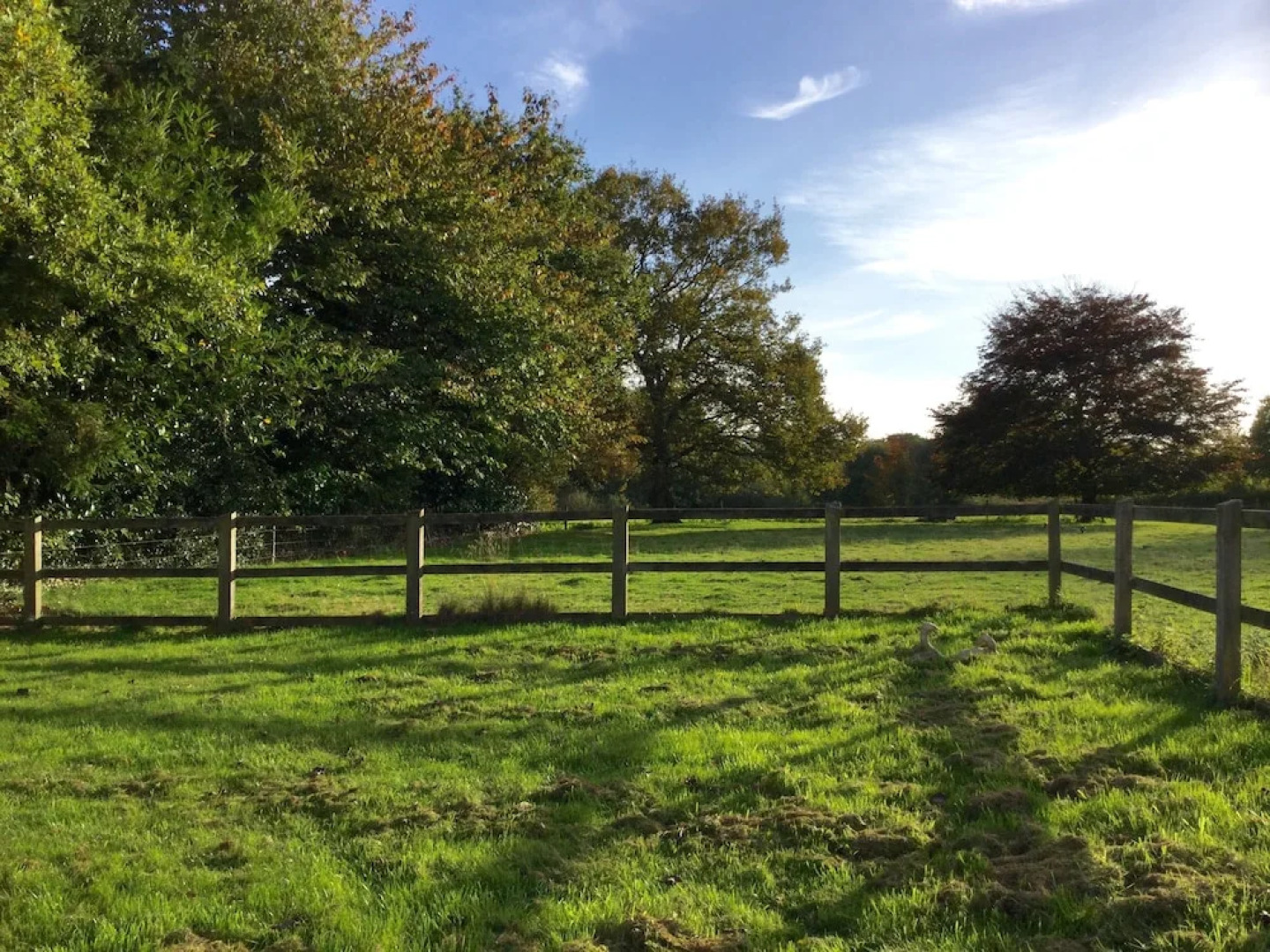 Mizzards Farm Cottage 488046