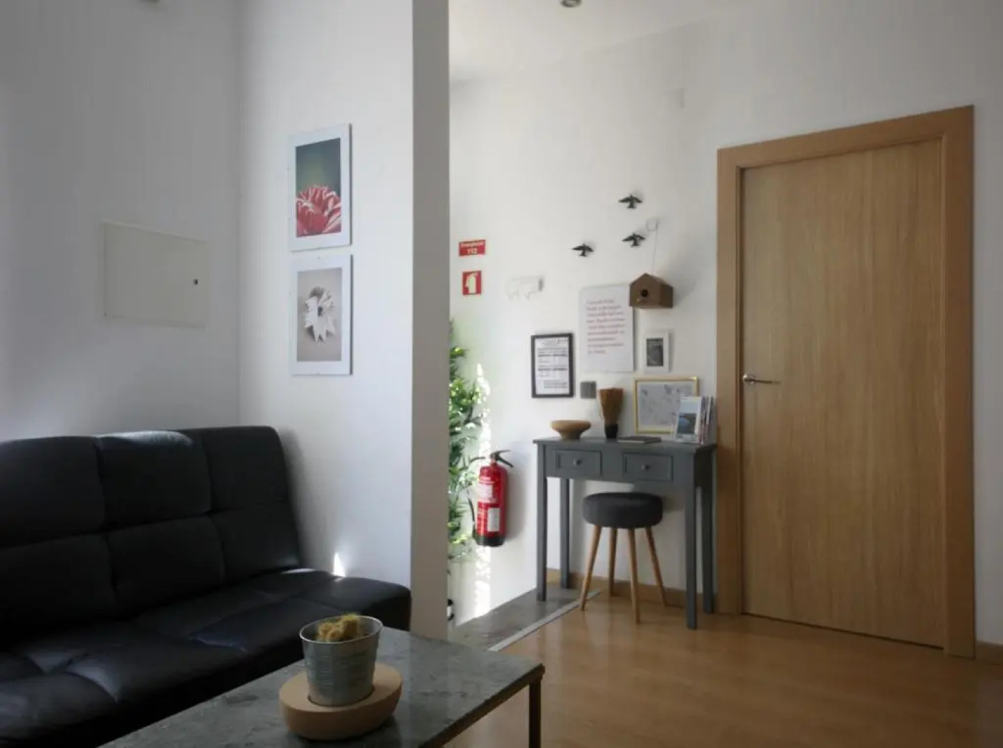 Casa da Viola - Faro