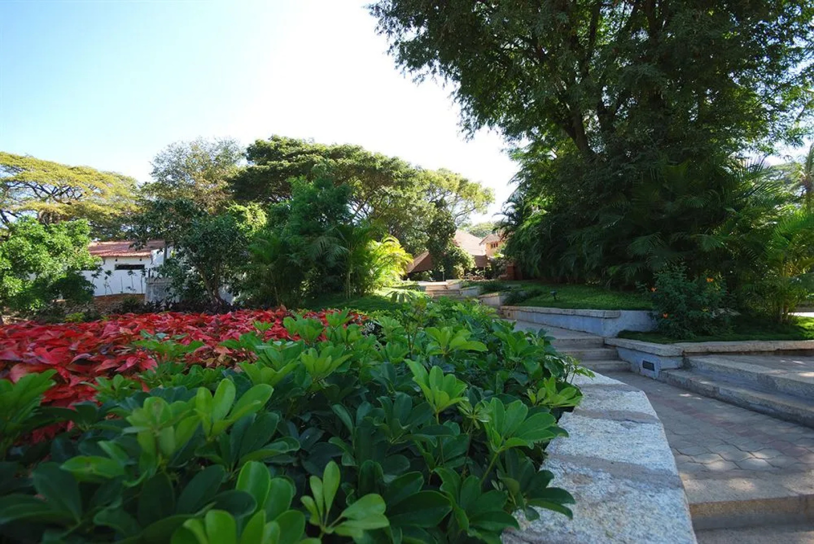 The Windflower Resort & Spa, Mysore