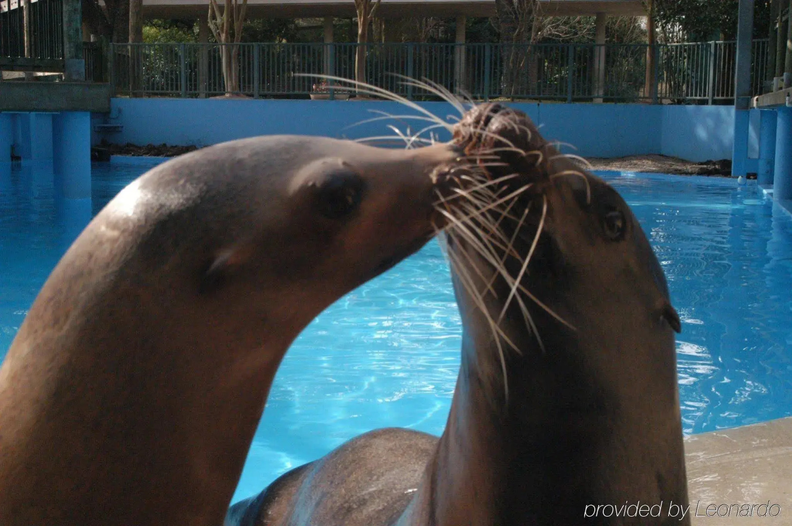 Candlewood Suites Houston Westchase/ Westheimer. by IHG